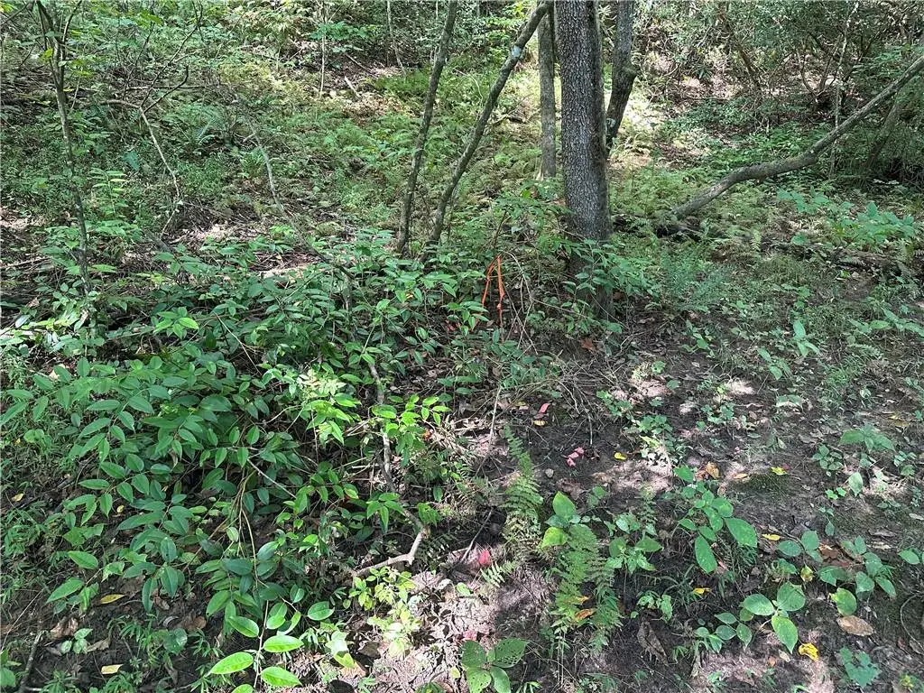5, 10 Riverview Dr And Pine Trail, Dahlonega, GA 30533 - #1