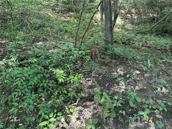 5, 10 Riverview Dr And Pine Trail, Dahlonega, GA 30533