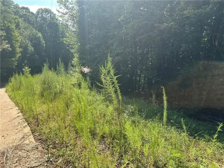 5, 10 Riverview Dr And Pine Trail, Dahlonega, GA 30533 - #2