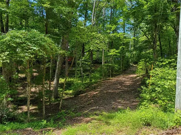 6195 Belle Meade Drive, Villa Rica, GA 30180