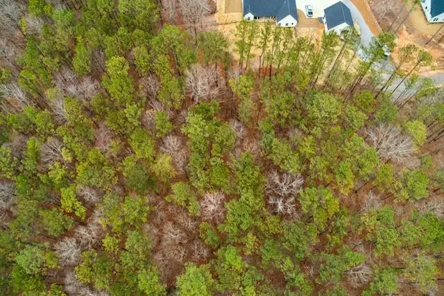 4243 Harmony Grove Church Road, Dallas, GA 30132 - #3