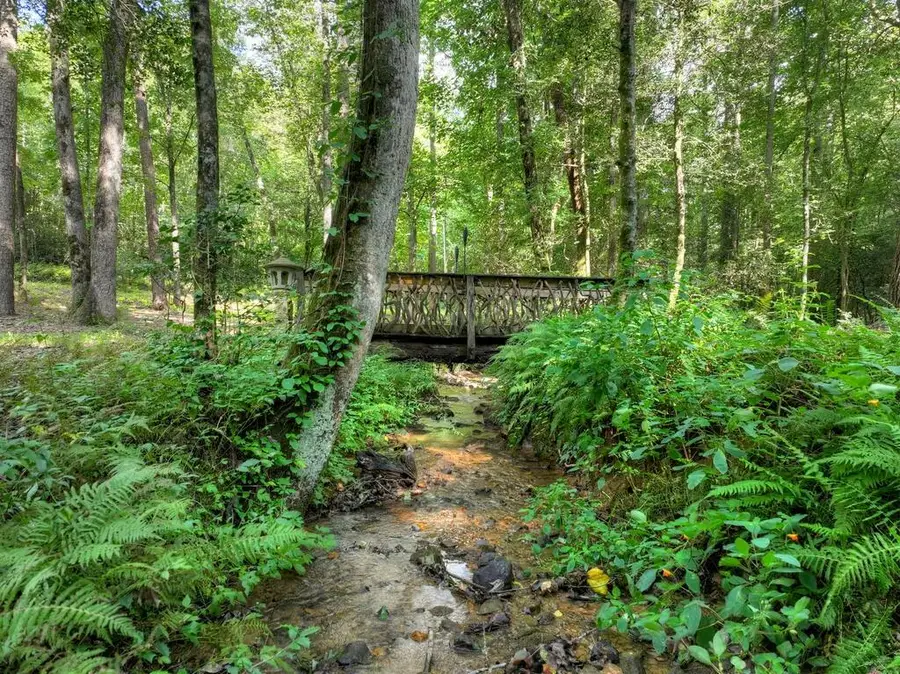685 Chopped Oak Road, Ellijay, GA 30540 - #3