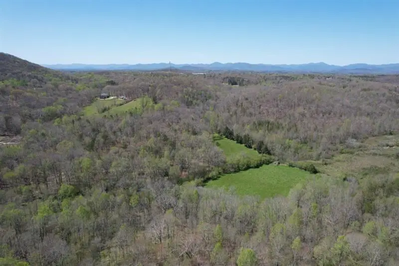 0 Post White Hill Road, Murrayville, GA 30564 - #3