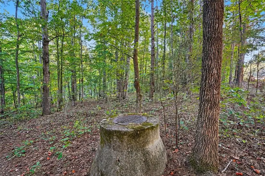 0 Locust Road, Locust Grove, GA 30248 - #2