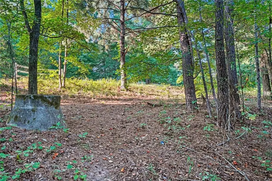 0 Locust Road, Locust Grove, GA 30248 - #3