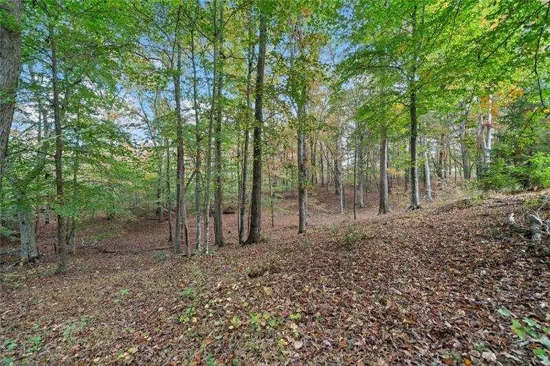 000 Ammons Drive, Waleska, GA 30183 - #2