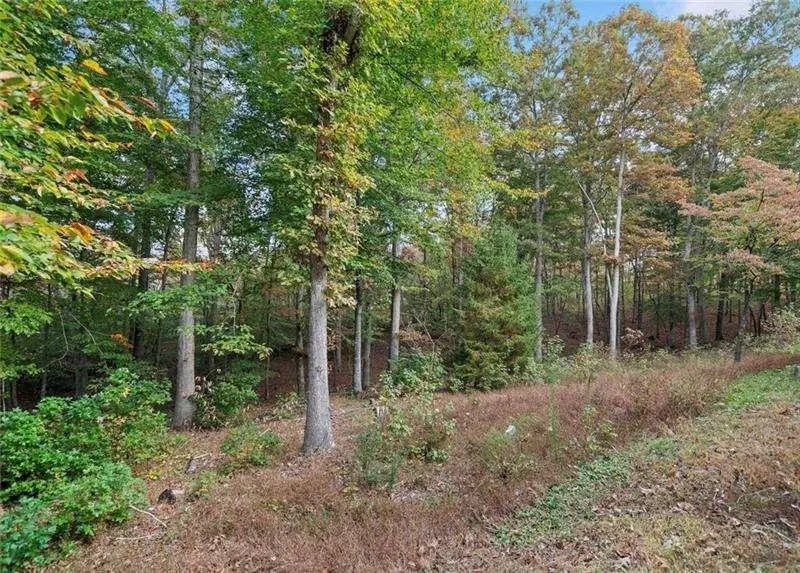 000 Ammons Drive, Waleska, GA 30183 - #3