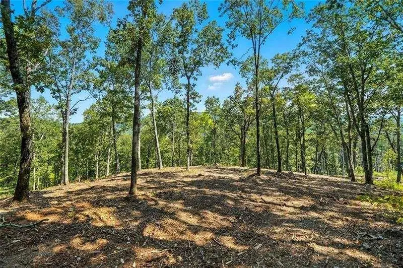0 Debord Drive, Waleska, GA 30183 - #2