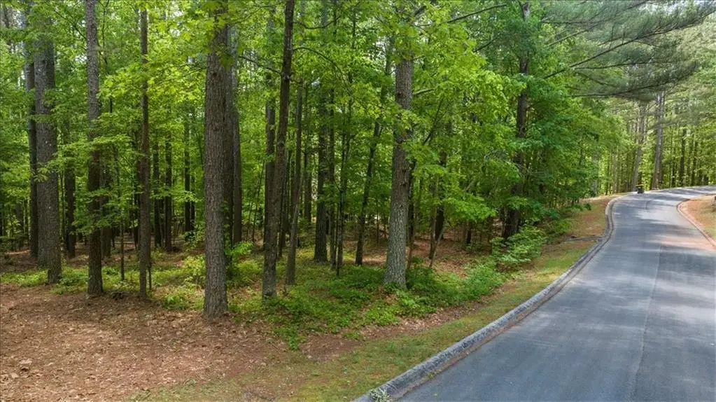0 Golden Delicious Road, Clarkesville, GA 30523 - #1