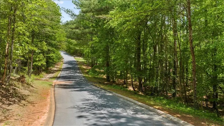0 Golden Delicious Road, Clarkesville, GA 30523 - #2