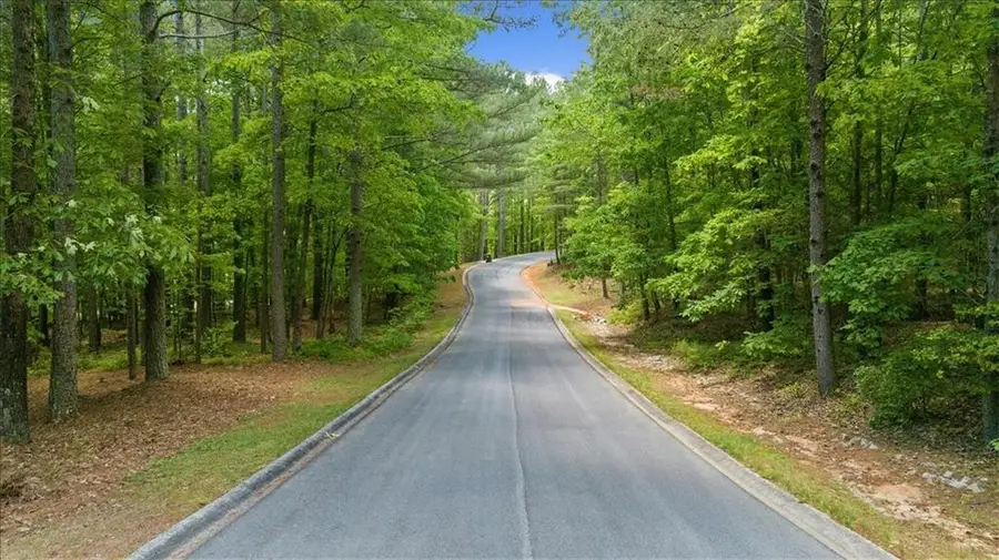 0 Golden Delicious Road, Clarkesville, GA 30523 - #3