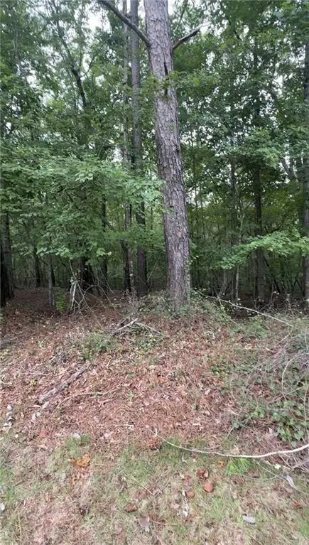 5850 Double Birch, Douglasville, GA 30135 - #1