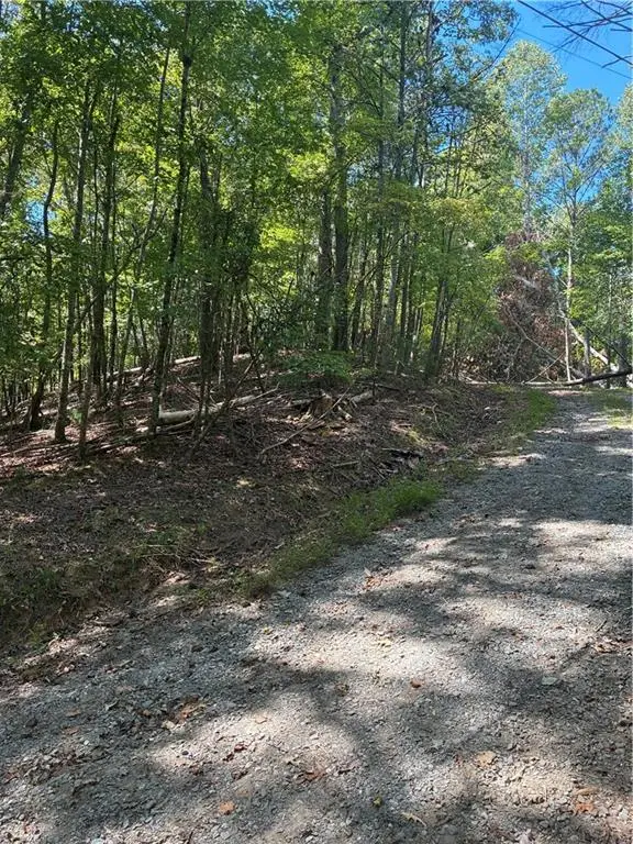 00 Miramar Drive, Ellijay, GA 30540 - #1