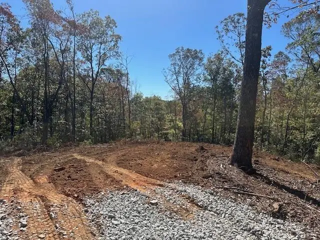 3.71 Yancy Drive, Dawsonville, GA 30534 - #3
