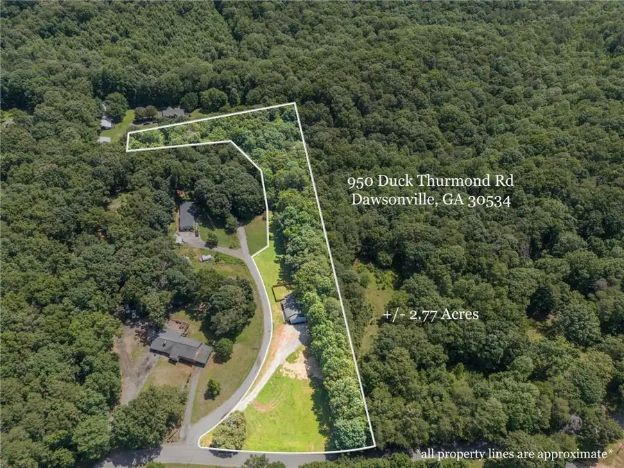950 Duck Thurmond Road, Dawsonville, GA 30534 - #3