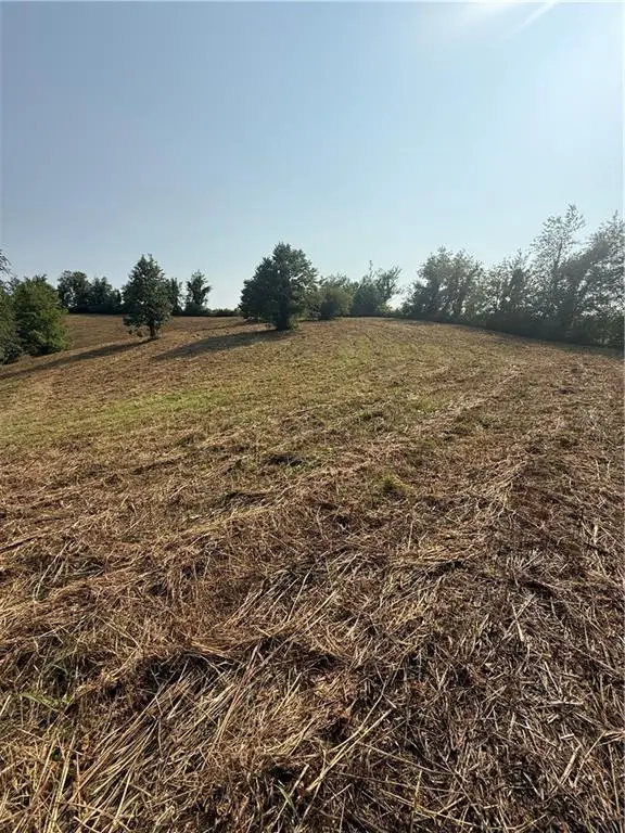 000 Ridgemont Lane, Ellijay, GA 30536 - #3