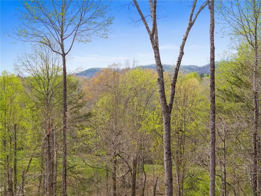 1134 Maggie Chapman Road, Blue Ridge, GA 30513 - #2