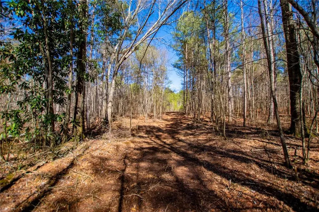0 Hwy 166 E - 21+ Acres, Bowdon, GA 30108 - #1