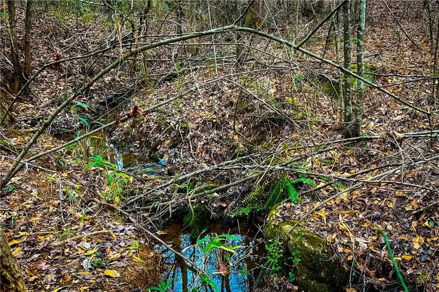0 Hwy 166 E - 21+ Acres, Bowdon, GA 30108 - #2
