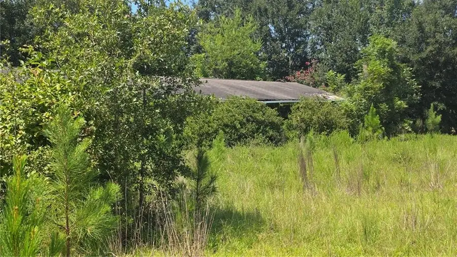 159 Grimsley Road, Colquitt, GA 39837 - #2