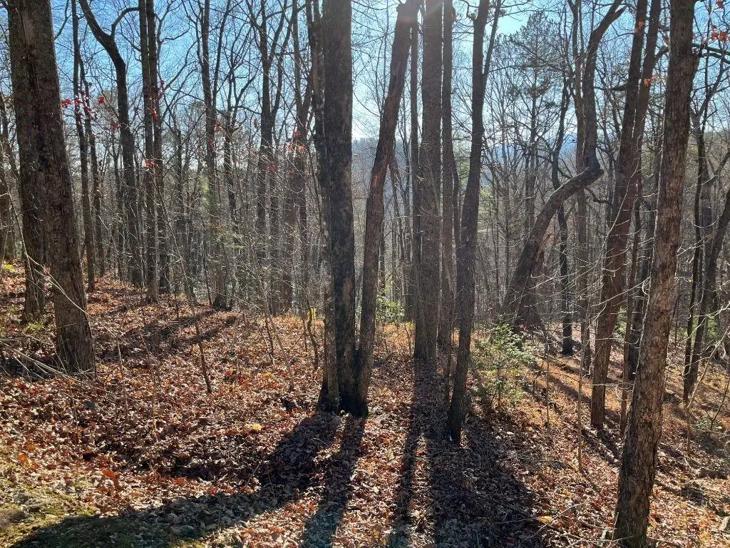 LOT #1 Forest Canopy Way, Clayton, GA 30525 - #1