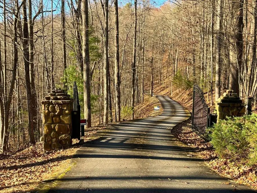 LOT #1 Forest Canopy Way, Clayton, GA 30525 - #2