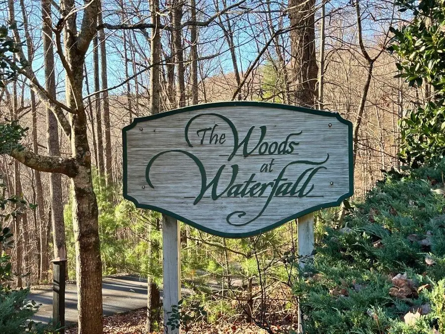 LOT #1 Forest Canopy Way, Clayton, GA 30525 - #3