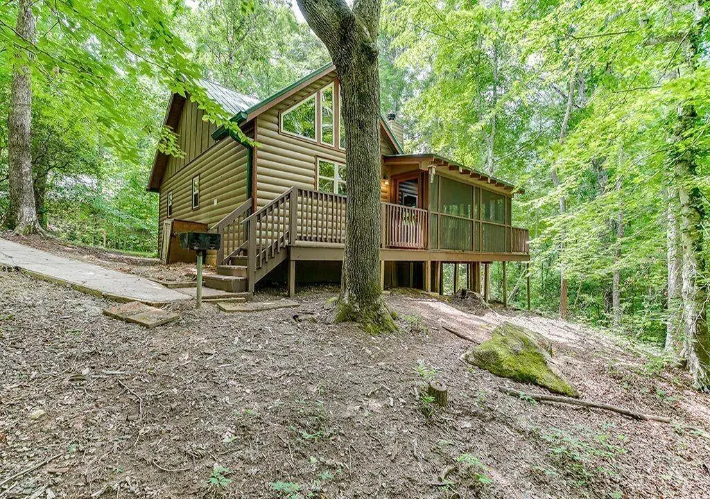 493 Vista View Place, Cleveland, GA 30528 - #1