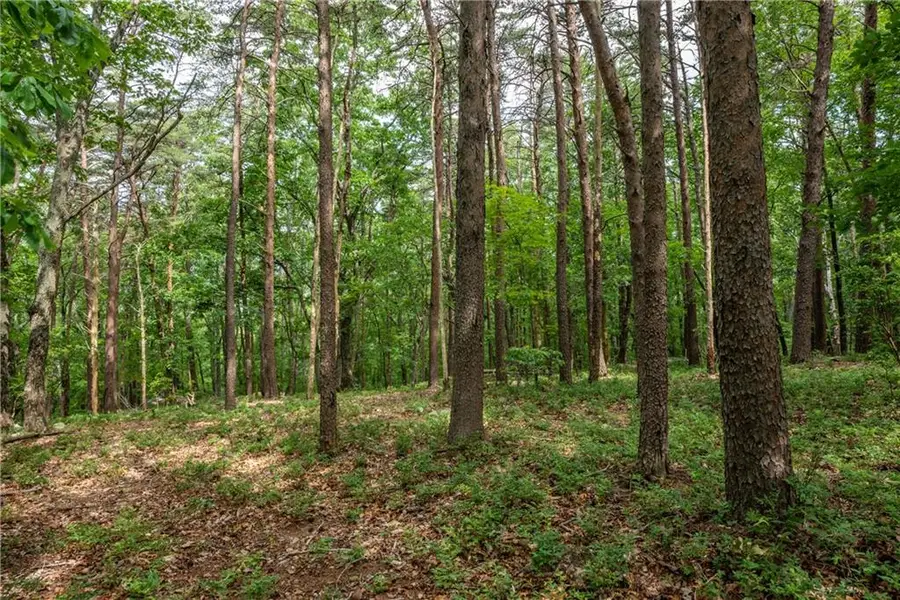 206R Mystic Trail Lane, Jasper, GA 30143 - #3