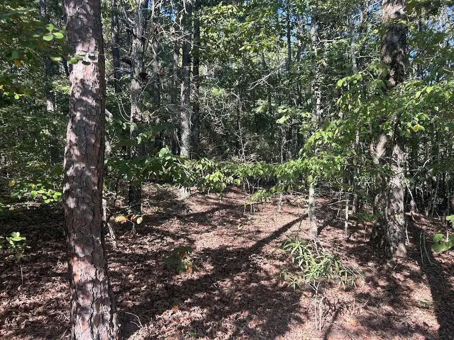 0 Springer Road, Whitesburg, GA 30185 - #3