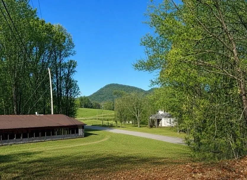 5013 Porter Springs Road, Dahlonega, GA 30533 - #2