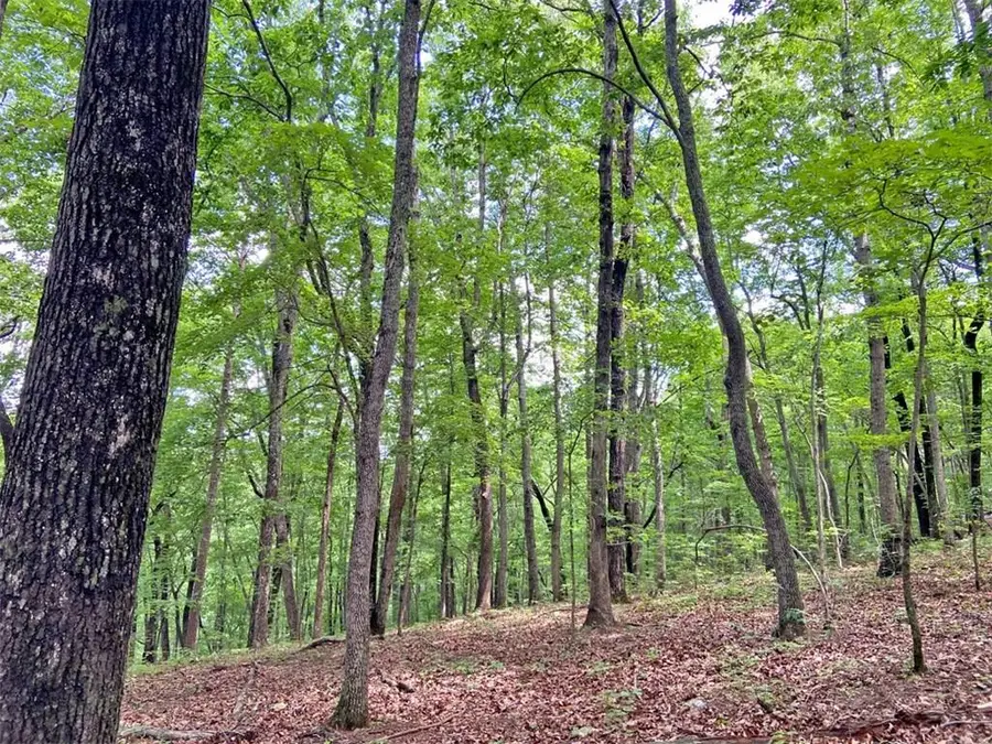 39.2ac Falling Pines Road, Dahlonega, GA 30533 - #2