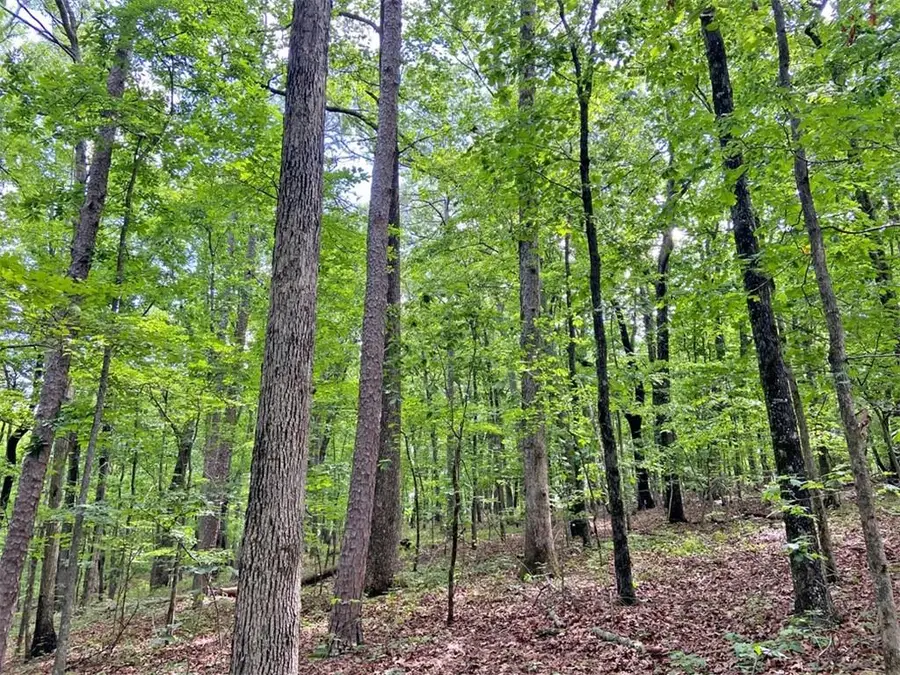 39.2ac Falling Pines Road, Dahlonega, GA 30533 - #3