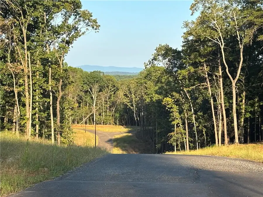 Lot 21 Norton Lane, Dahlonega, GA 30533 - #3