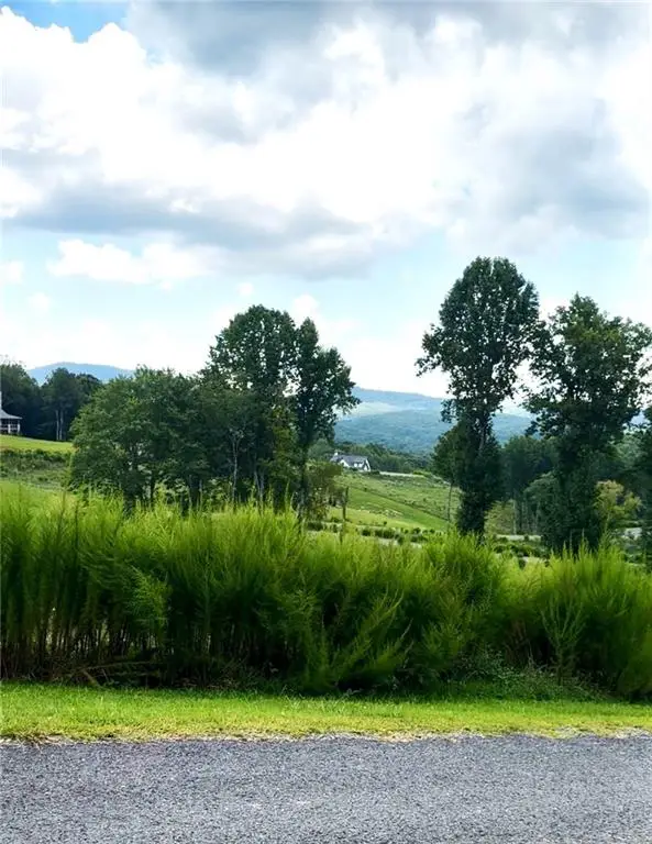 0 Big Valley Drive, Blue Ridge, GA 30513 - #3