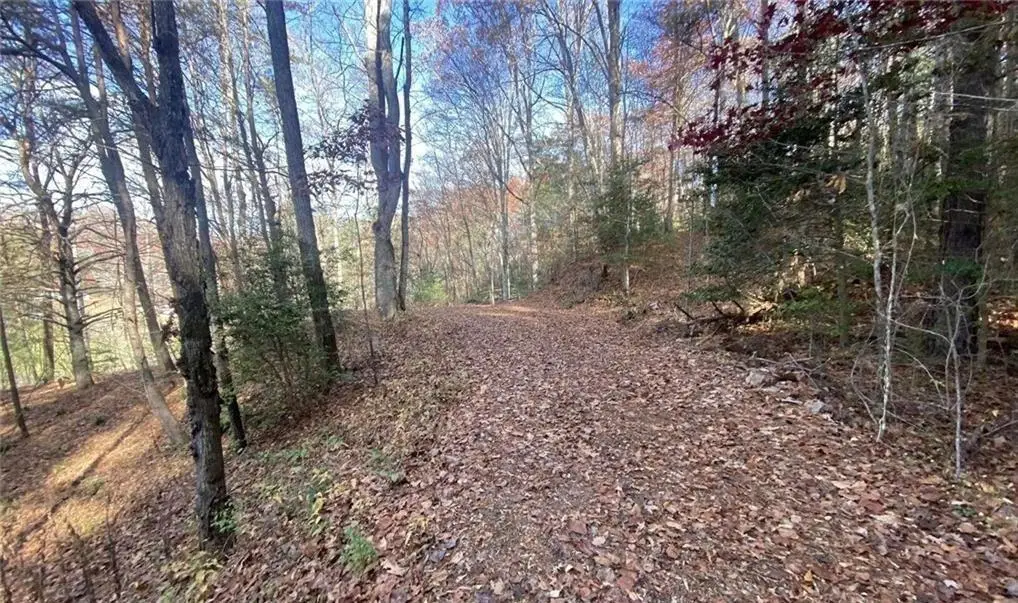 1 Barefoot Hills, Hiawassee, GA 30546 - #1
