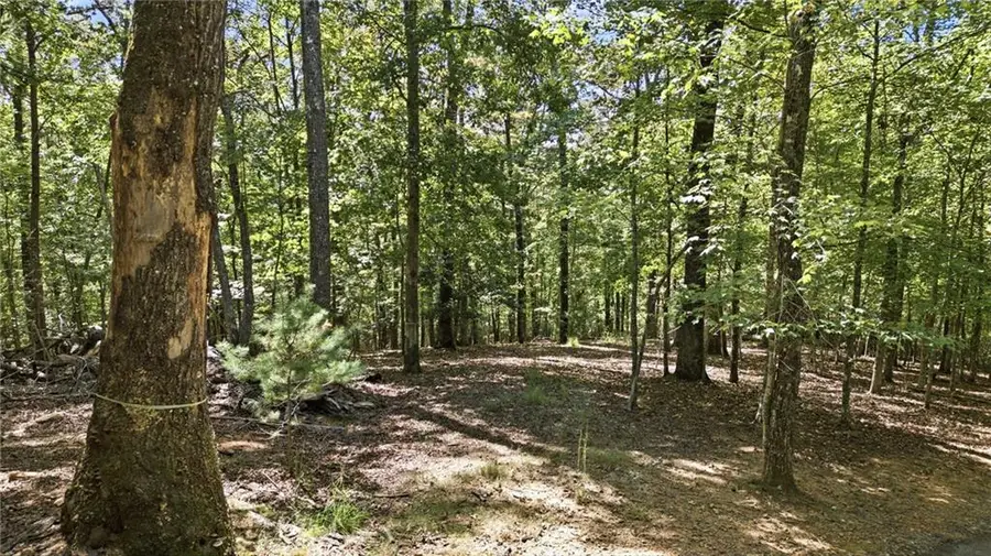 22 Riverwalk, Blue Ridge, GA 30513 - #2