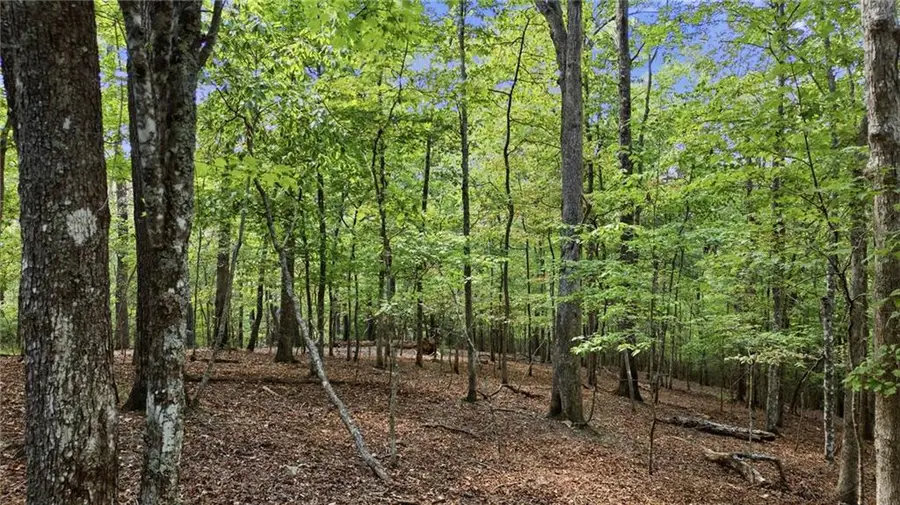 22 Riverwalk, Blue Ridge, GA 30513 - #3