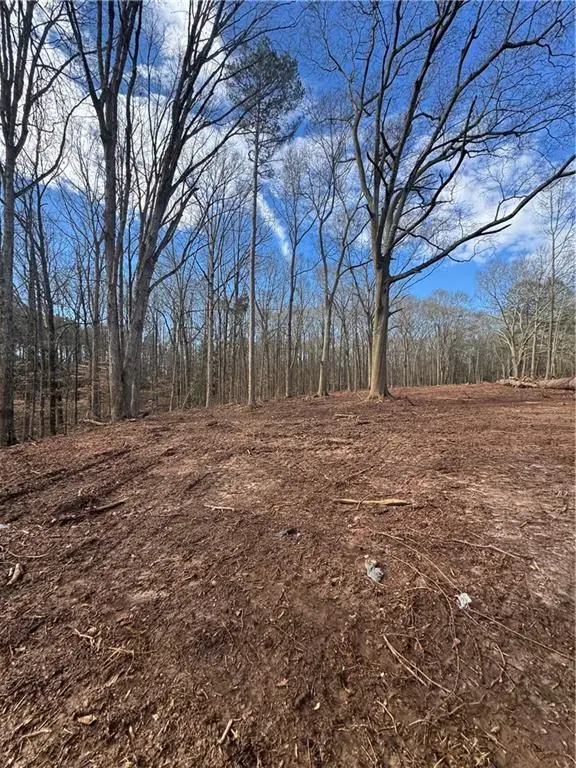 231 Roosevelt Circle, Bowman, GA 30624