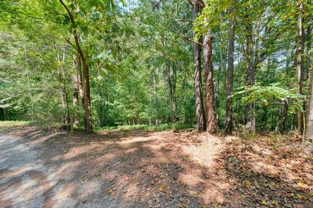 150 Waleska Woods Court, Waleska, GA 30183 - #1