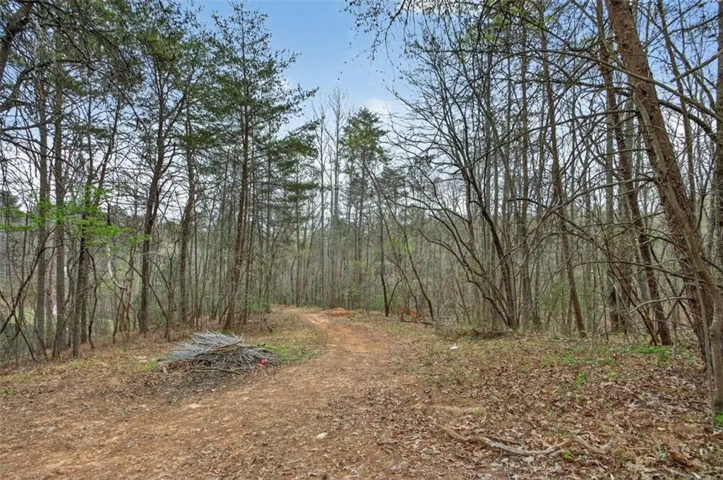 1812 Upper Bethany Road, Ball Ground, GA 30107 - #1