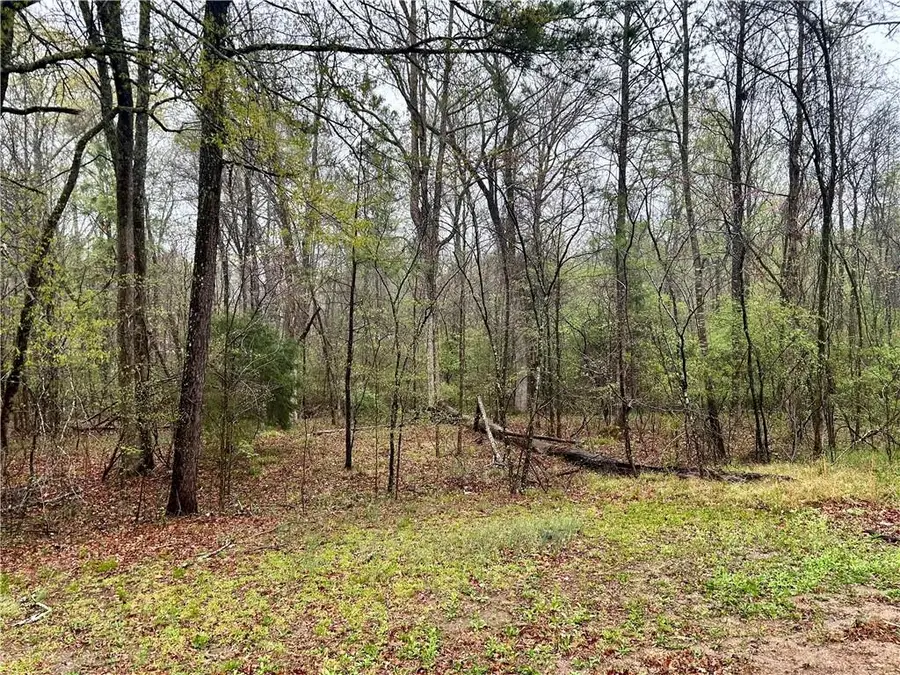 0 Walker Mountain Road Sw, Rome, GA 30161 - #3