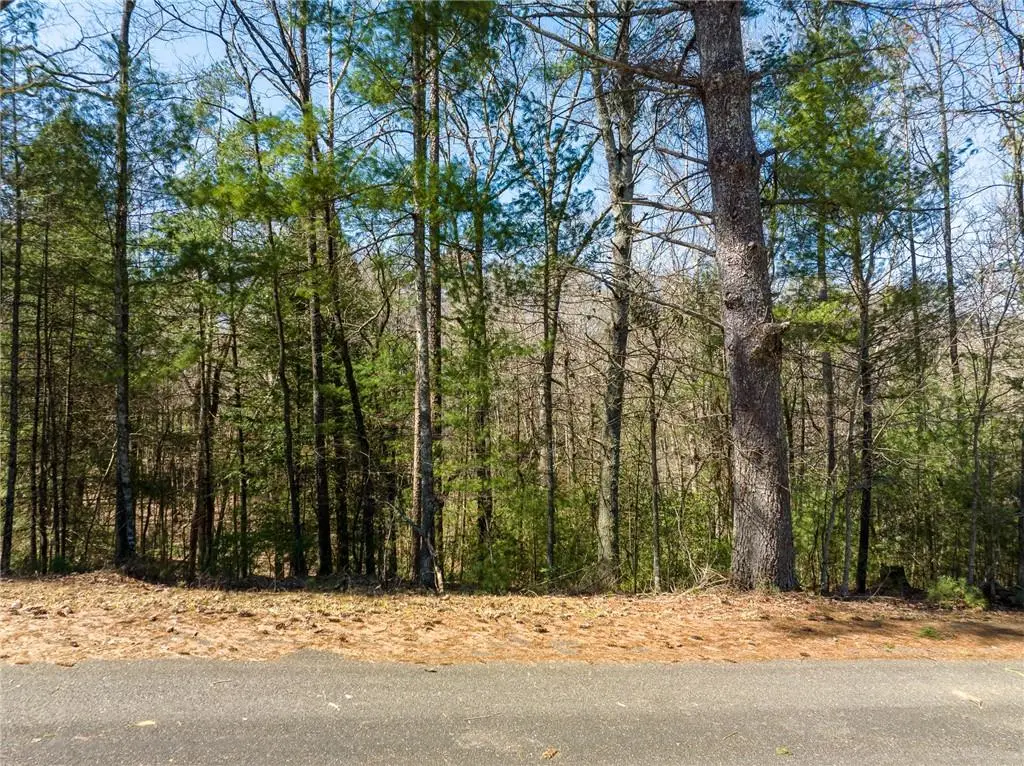 0 Shenendoa Drive, Ellijay, GA 30540 - #1