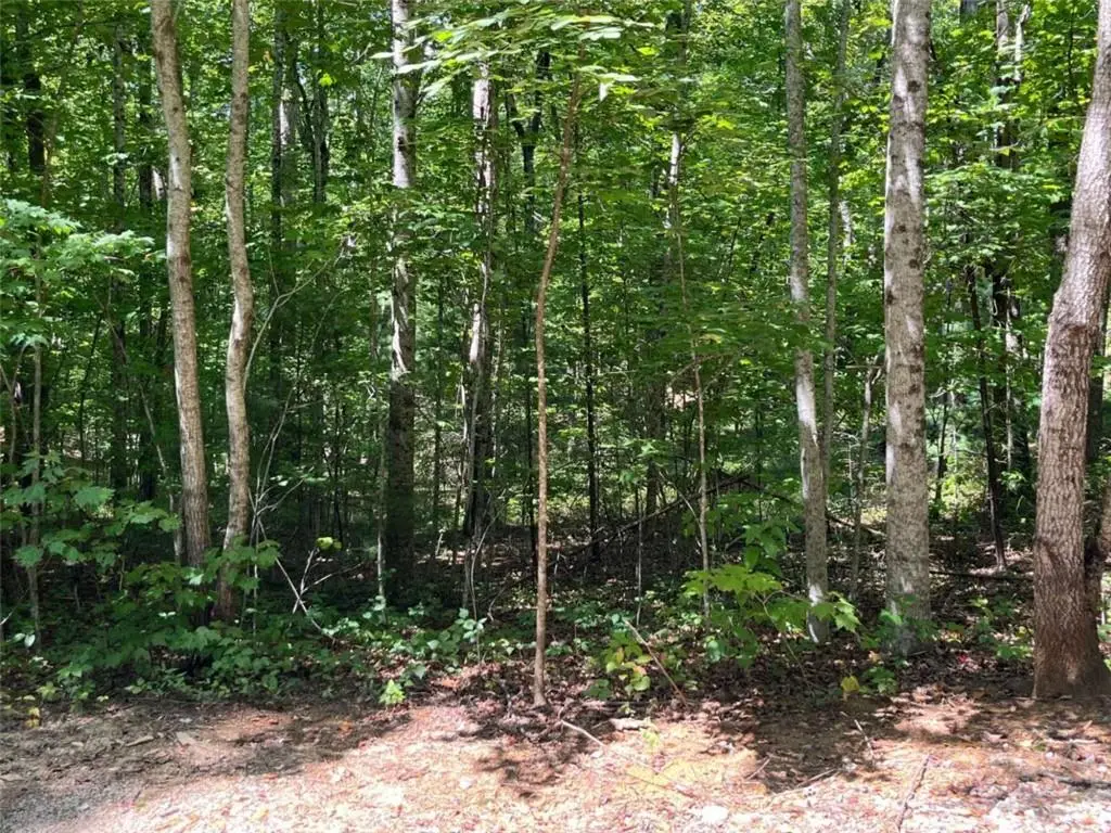 LOT 7 Forest Canopy Way, Clayton, GA 30525 - #1