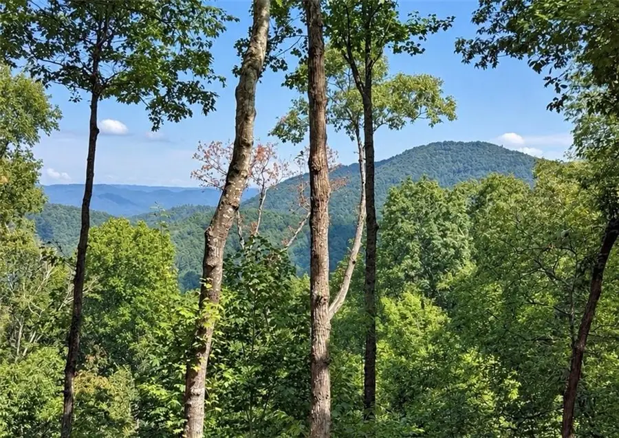 778 Walnut Mountain Road, Ellijay, GA 30536 - #2