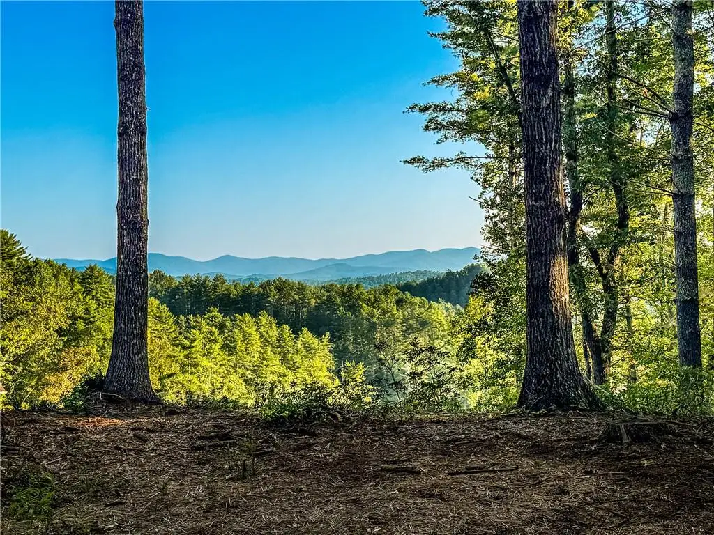 0 River Flow Drive, Dahlonega, GA 30533 - #1