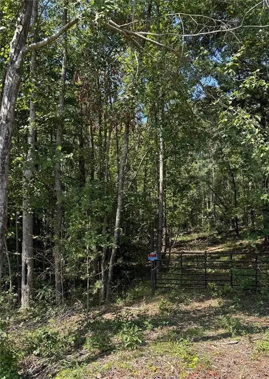 0 Ga-hwy 92 & 166, Douglasville, GA 30135 - #1