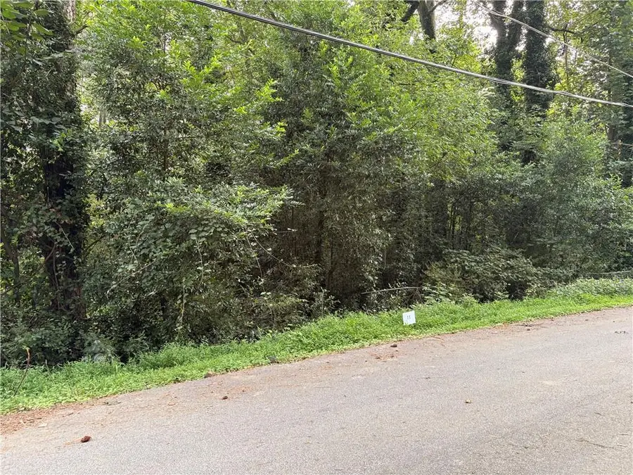 Lot 11 Adamson Road, Jonesboro, GA 30236 - #3