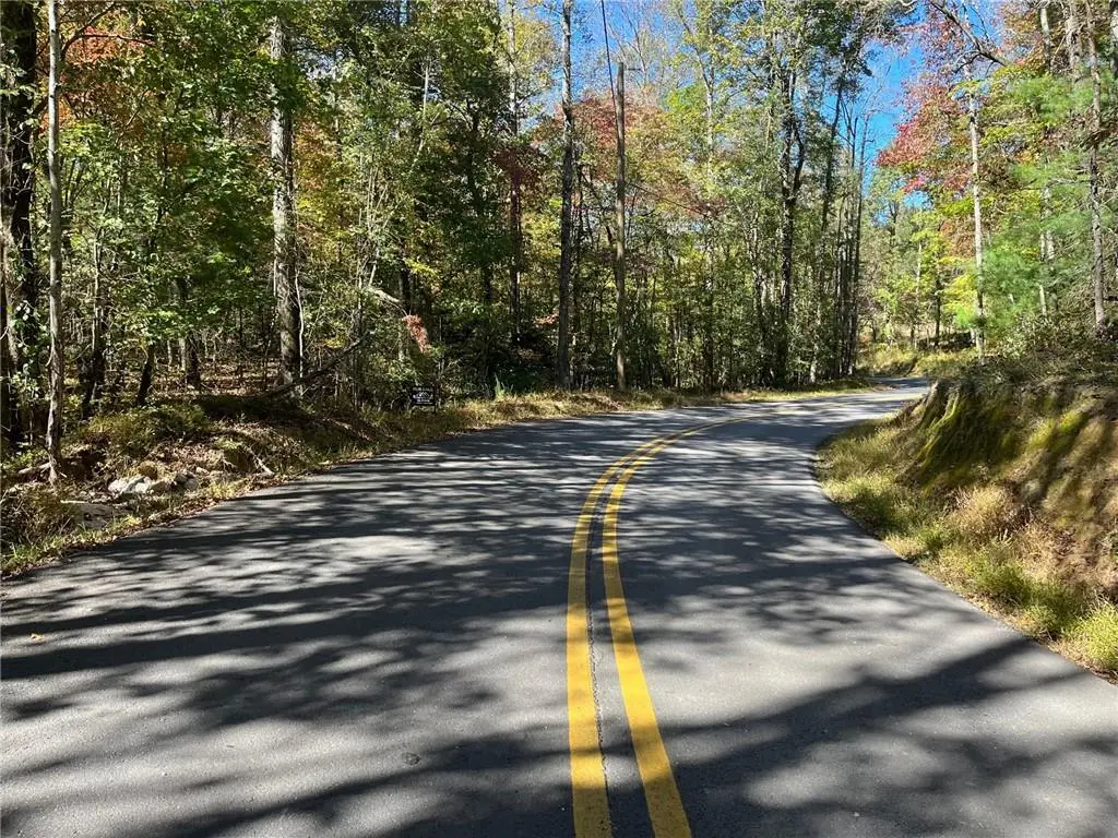 0 Little Mountain Road, Dahlonega, GA 30533 - #1