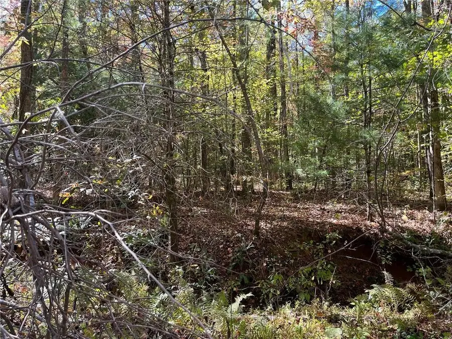 0 Little Mountain Road, Dahlonega, GA 30533 - #2